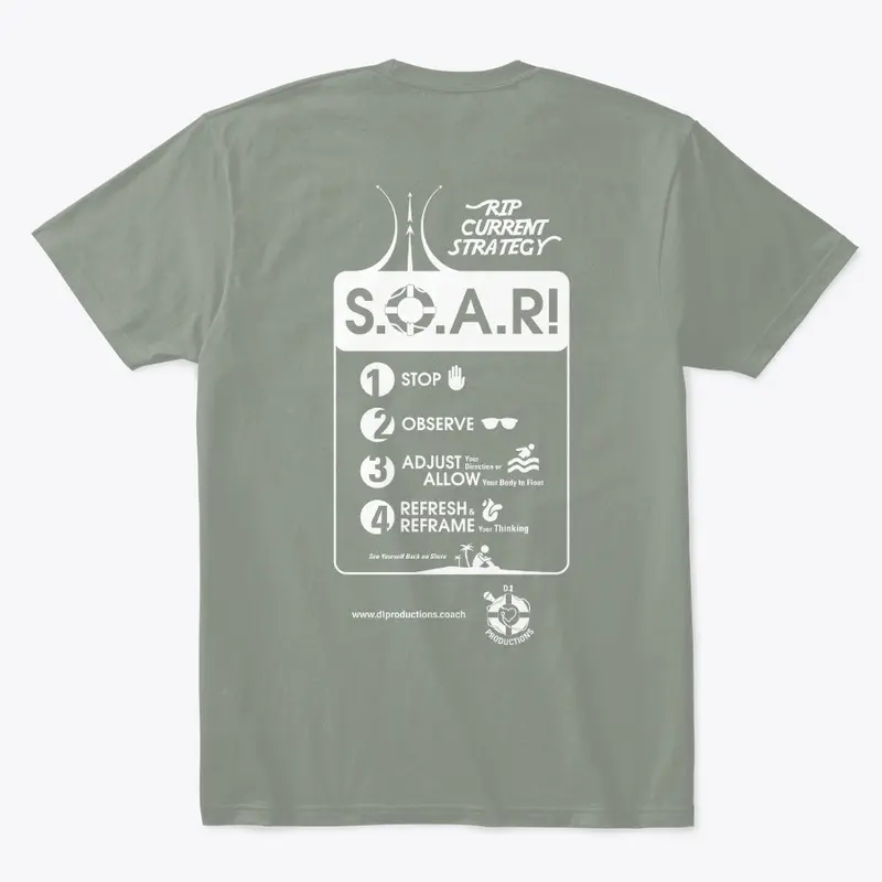 S.O.A.R Strategy